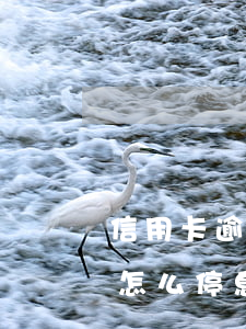 信用卡逾期还不上怎么办理停息-欠信用卡怎么停息挂账