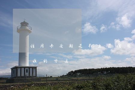 信用卡逾期还不上最 信用卡逾期还不上最标准的方法