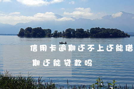 信用卡逾期还不上还能借到钱吗(有信用卡逾期还能贷款吗)