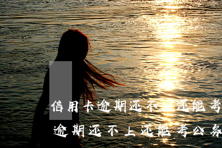 信用卡逾期还不上还能考公务员吗-信用卡逾期还不上还能考公务员吗知乎