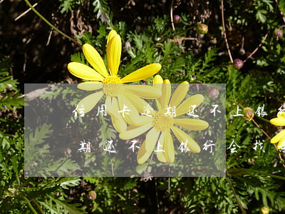 信用卡逾期还不上银行会找亲友吗(信用卡逾期还不上银行会找亲友吗)