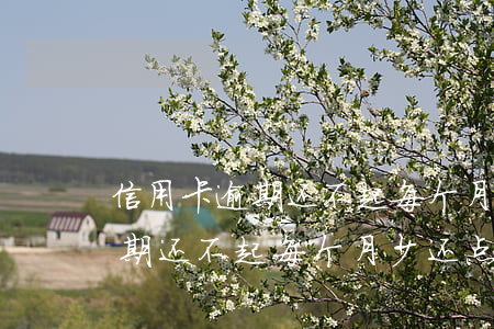 信用卡逾期还不起每个月少还点-信用卡逾期还不起每个月少还点钱怎么办