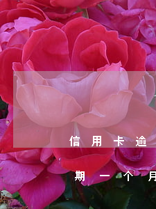 信用卡逾期还了几天还可以用吗(我信用卡逾期一个月,还了之后还能用吗)
