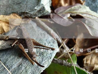 信用卡逾期还了可以套嘛