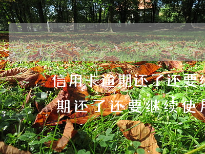 信用卡逾期还了还要继续使用吗-信用卡逾期还了还要继续使用吗吗