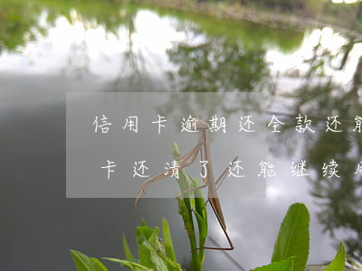信用卡逾期还全款还能用吗(逾期很久的信用卡还清了还能继续用吗?)