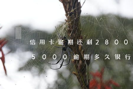 信用卡逾期还剩2800被起诉-信用卡15000逾期多久银行起诉