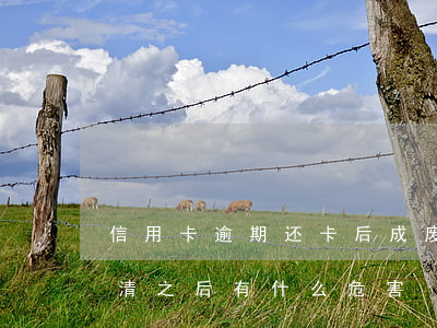 信用卡逾期还卡后成废卡(欠信用卡逾期后还清之后有什么危害)
