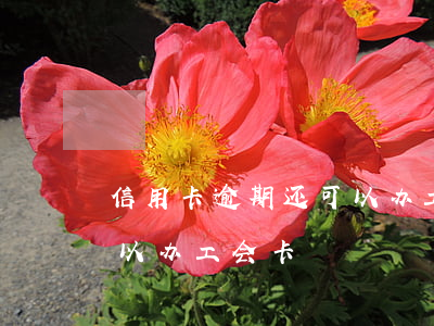 信用卡逾期还可以办工会卡(信用卡逾期还可以办工会卡)