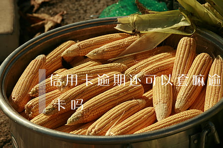 信用卡逾期还可以套嘛(逾期还了可以办信用卡吗)