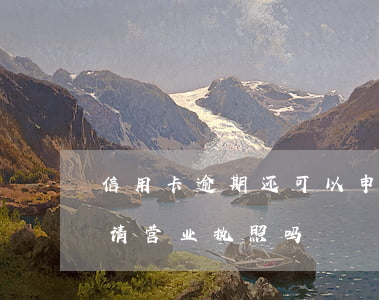 信用卡逾期还可以申请(信用卡逾期还可以申请营业执照吗)