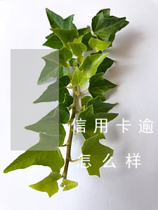信用卡逾期还可以进厂吗(现在信用卡逾期会怎么样?)