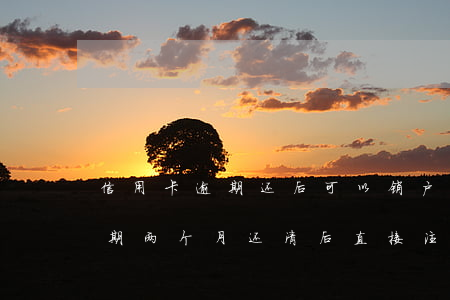 信用卡逾期还后可以销户吗(三年前信用卡逾期两个月还清后直接注销了)