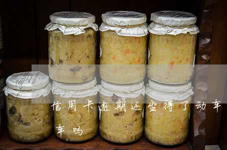 信用卡逾期还坐得了动车吗(有逾期可以坐动车吗)