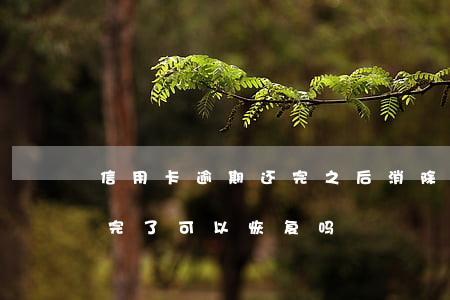 信用卡逾期还完之后消除(信用卡严重逾期还完了可以恢复吗)