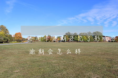 信用卡逾期还完了影响分期购车吗(分期购车逾期会怎么样)