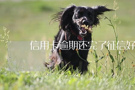 信用卡逾期还完了征信好久消除