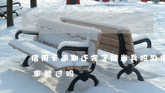 信用卡逾期还完了能当兵吗(欠信用卡当兵政审能过吗)