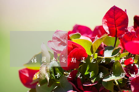信用卡逾期还完后用开还清证明么-逾期的信用卡还完了要注销吗