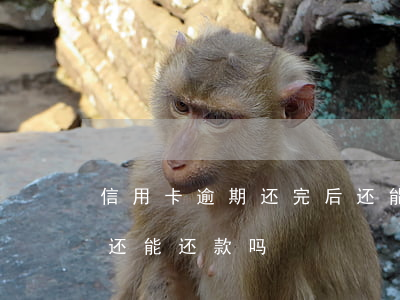 信用卡逾期还完后还能再用吗(过期的信用卡还能还款吗)