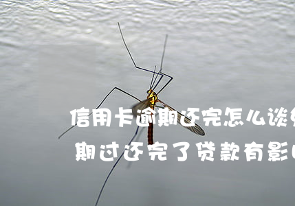 信用卡逾期还完怎么谈免息利息(我信用卡逾期过还完了贷款有影响吗)