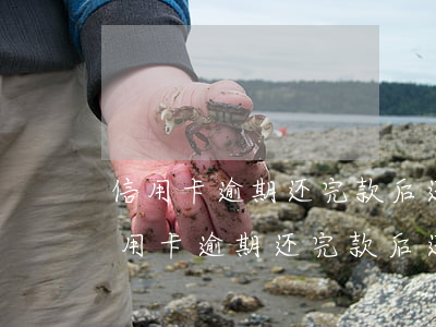 信用卡逾期还完款后还要办什么手续吗-信用卡逾期还完款后还要办什么手续吗知乎