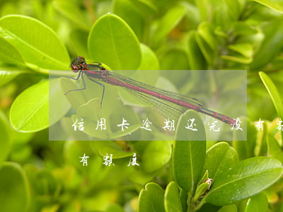 信用卡逾期还完没有额度(信用卡逾期还完没有额度)