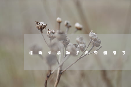 信用卡逾期还完没额度了