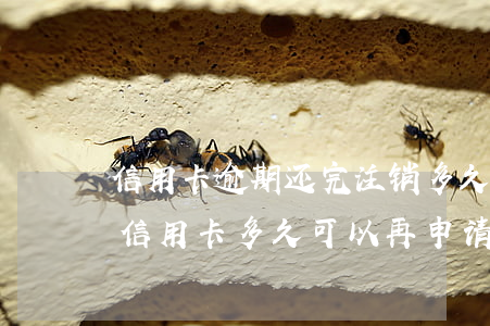 信用卡逾期还完注销多久能再办理-注销完信用卡多久可以再申请