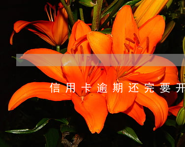 信用卡逾期还完要开结清证明吗