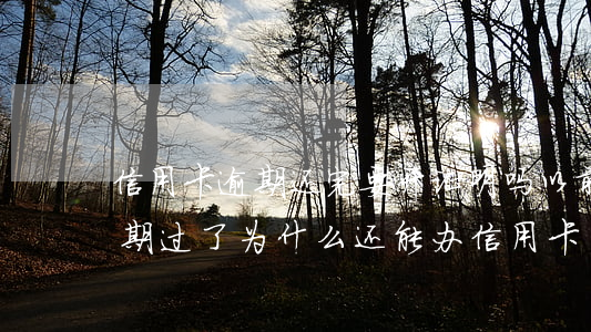 信用卡逾期还完要开证明吗(以前用信用卡逾期过了为什么还能办信用卡)