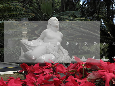 信用卡逾期还完还再用有什么影响-信用卡逾期还完还再用有什么影响吗