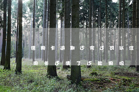 信用卡逾期还完还可以注销吗(严重逾期的信用卡还清了还能用吗)