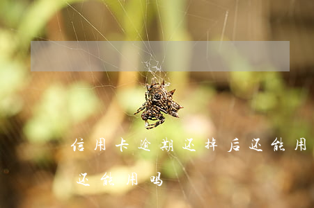 信用卡逾期还掉后还能用吗(信用卡逾期还了还能用吗)