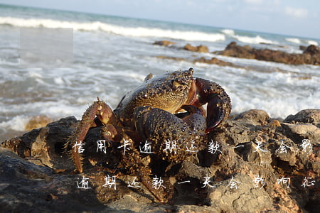 信用卡逾期还款一天会影响征信吗-信用卡逾期还款一天会影响征信吗贴吧