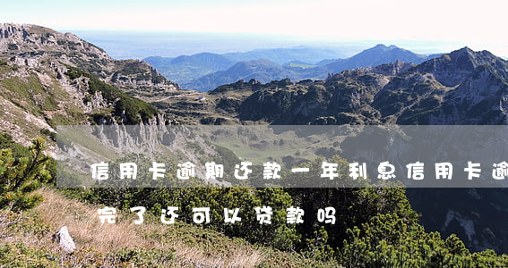信用卡逾期还款一年利息(信用卡逾期一年还完了还可以贷款吗)