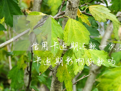 信用卡逾期还款一次会影响贷款(有一次信用卡逾期影响贷款吗)