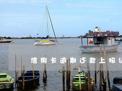 信用卡逾期还款上报记录(信用卡 逾期记录)