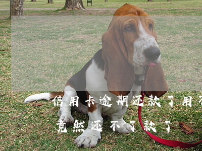 信用卡逾期还款了用不了(信用卡逾期好久了,竟然还不了款了)