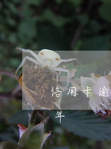 信用卡逾期还款五十万(三十万信用卡逾期五年)