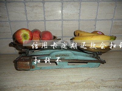 信用卡逾期还款会扣钱不(信用卡逾期还款会扣钱不)