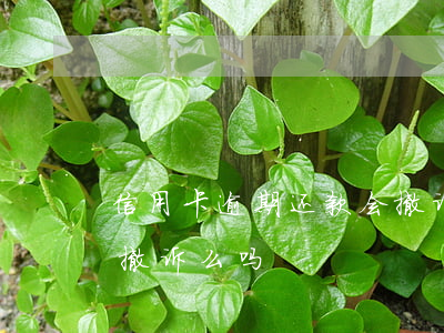 信用卡逾期还款会撤诉么 信用卡逾期还款会撤诉么吗