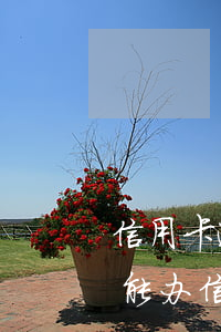信用卡逾期还款可以办理按揭吗 逾期还款后能办信用卡吗