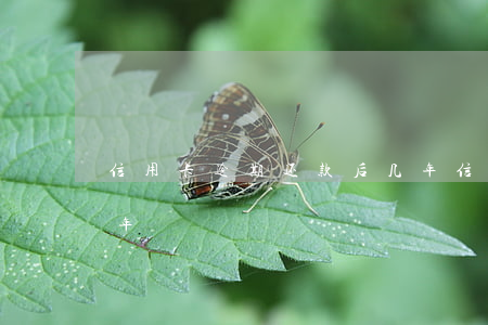 信用卡逾期还款后几年 信用卡逾期还款后几年