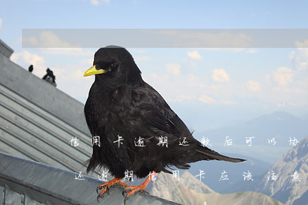 信用卡逾期还款后可以协商吗(跟第三方协商还逾期信用卡应该注意那些方面的问题)