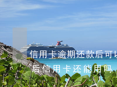 信用卡逾期还款后可以继续使用么(逾期还款后信用卡还能用吗)