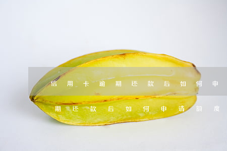信用卡逾期还款后如何申请额度-信用卡逾期还款后如何申请额度调整