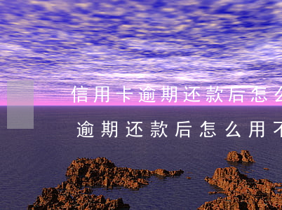 信用卡逾期还款后怎么用不了花呗-信用卡逾期还款后怎么用不了花呗了