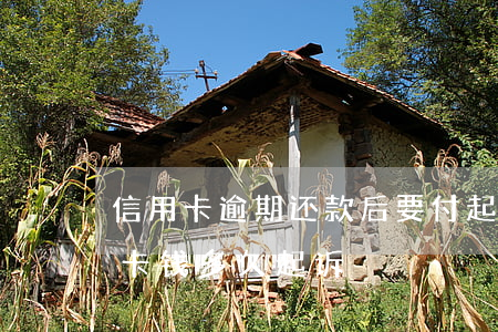 信用卡逾期还款后要付起诉费吗(欠银行信用卡钱多久起诉)