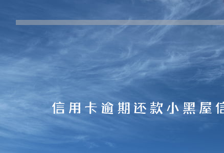 信用卡逾期还款小黑屋(信用卡逾期上黑名单)
